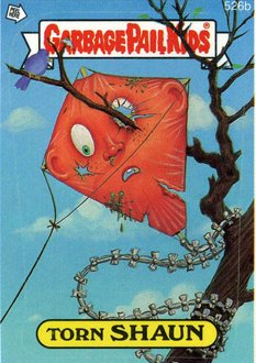 Torn SHAUN Funny Decal Name Sticker