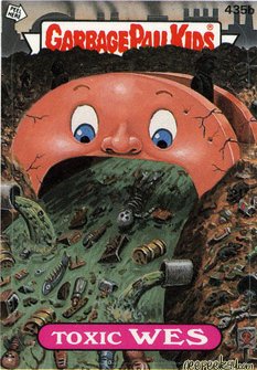 Toxic WES Funny Decal Name Sticker