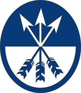 US Army 3 arrows oval Sticker