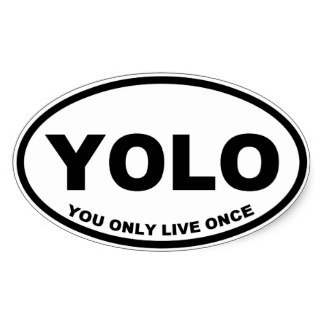 YOLO funny sticker OVAL