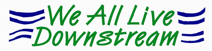 we_all_live_downstream_LIVE GREEN bumper sticker