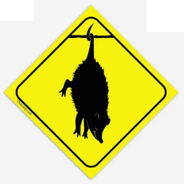 phish reba POSSUM  Band Sticker