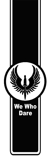 MILITARY Truck Bed Stripes 5