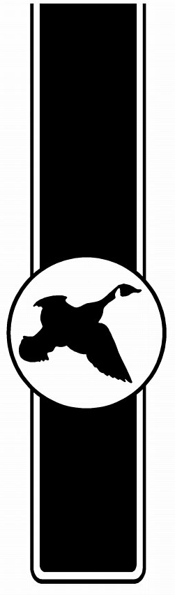 Truck Bed Stripes HUNTING 01