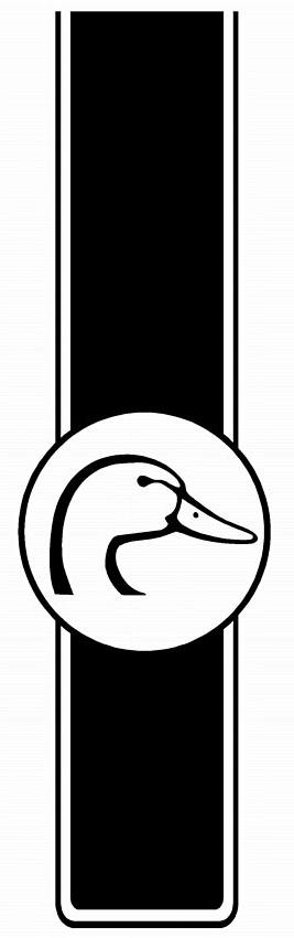 Truck Bed Stripes HUNTING 19