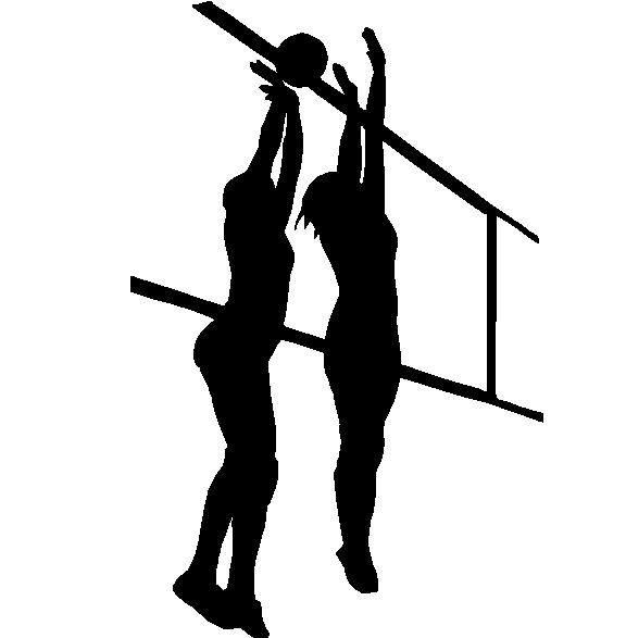 Volly Net Adhesive Vinyl Decal