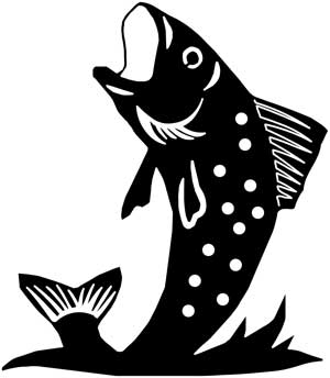trout DIECUT FISH DECAL 4