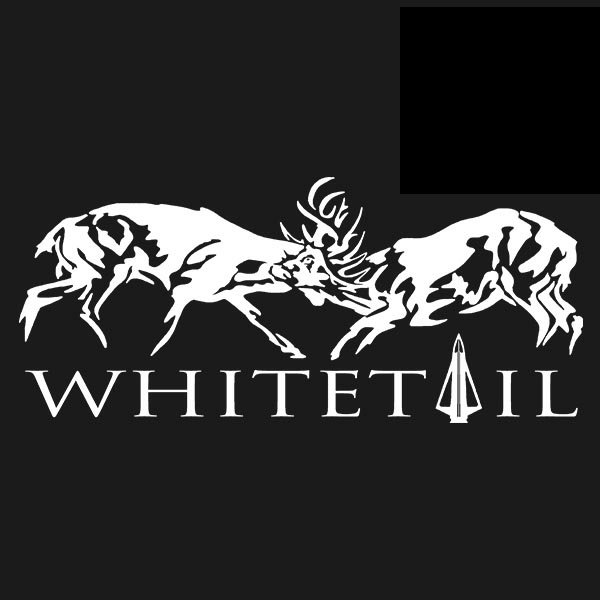 Whitetail Decal 33