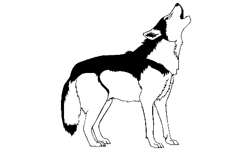 an_021_wolf_howling Vinyl Decal
