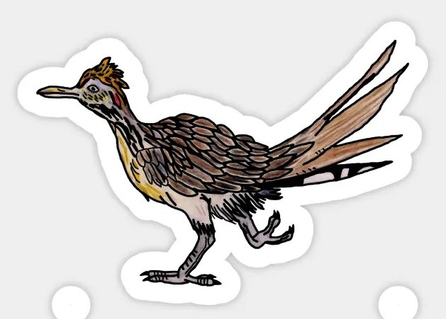 ROAD-RUNNER-COLOR-ANIMAL-STICKER-77