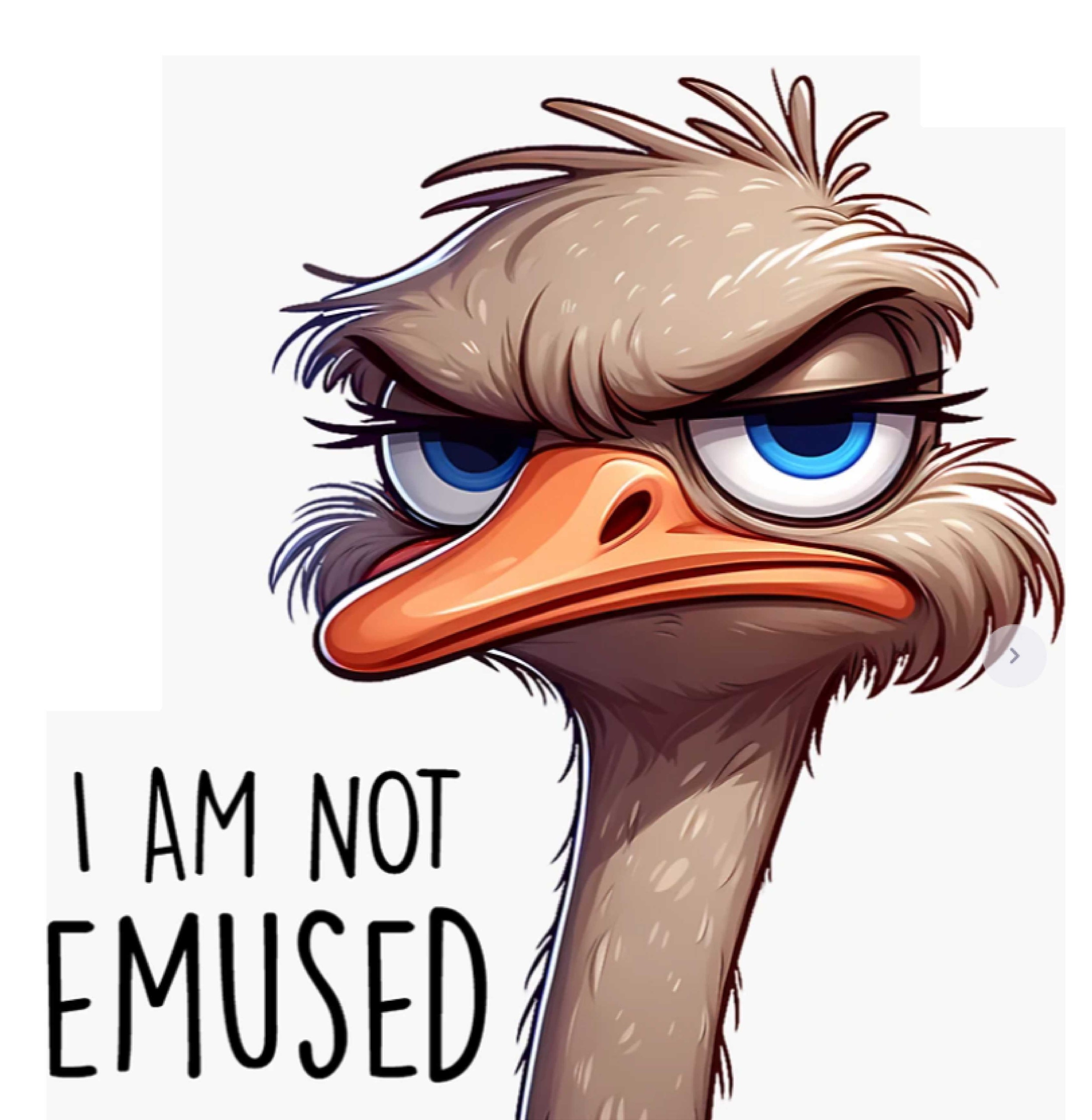 Emu Funny Animal Sticker 2