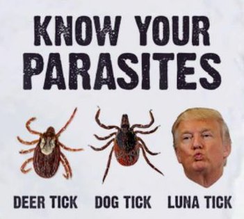 TRUMP KNOW YOUR PARASITES STICKER
