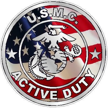 ACTIVE DUTY MILITARY FILLS flag usa