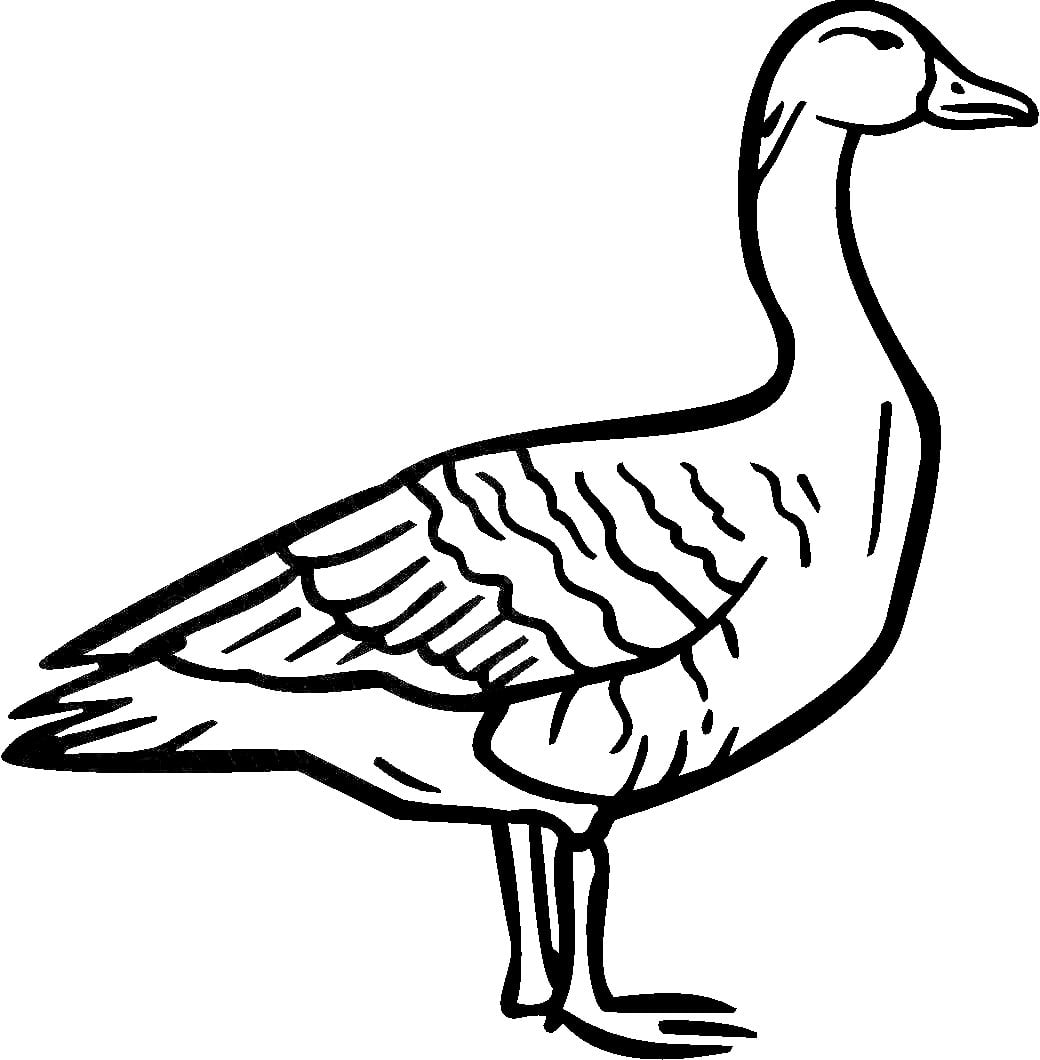 Duck Vinyl Car or WALL Decal Stickers