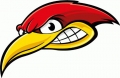 Woody-Woodpecker-Head-Funny-Cartoon-Car-ANGRY HEAD STICKER