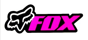 F RACING AUTO CAR WINDOW STICKER 5