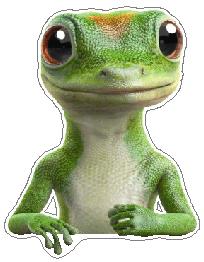 Geico Logo with Gecko NO TEXT