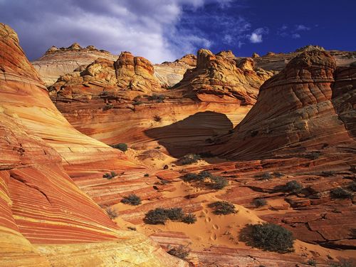 Rocks and Canyons Vinyl Wall Graphics 54