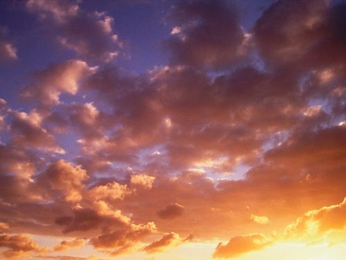 Counds and Sky Vinyl Wall Graphics 010