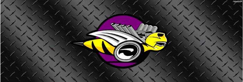 DODGE 4 Rear Window Graphic