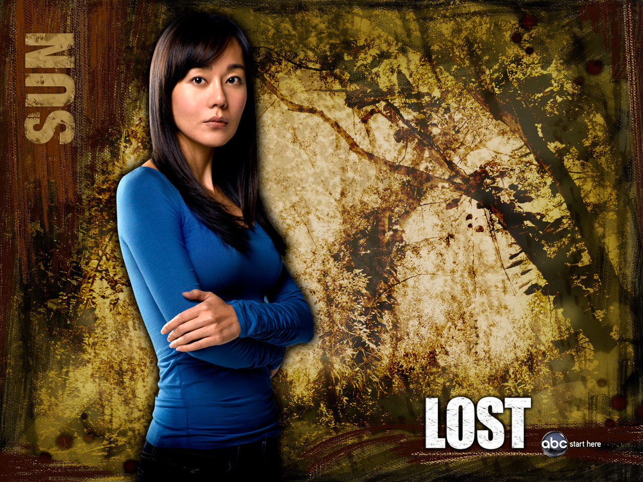 LOST Wallpaper Decal Sun