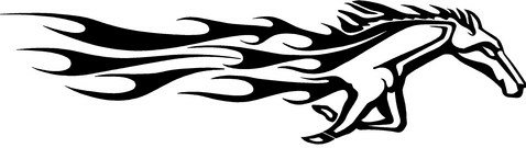 a vinyl horse car or wall decal 17 LEFT