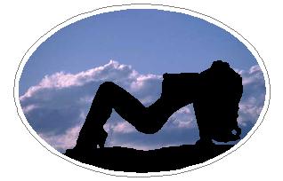 Oval B Stripper Decal