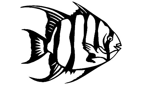 Angelfish Decal