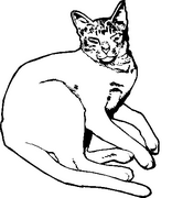 Cat Decals 02