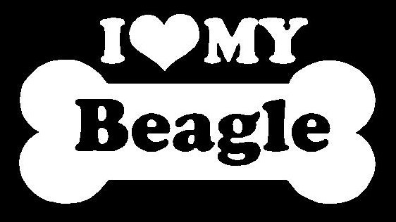 I Love My Beagle