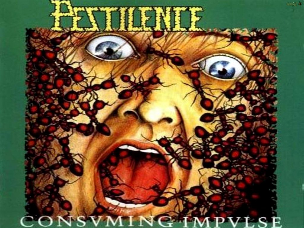 PESTILENCE Color Band Decal