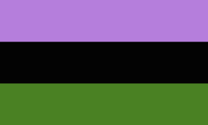 Agender pride flag