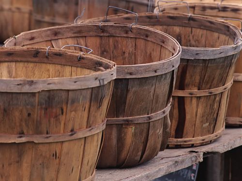 Close Up Photography Vinyl Graphics 18