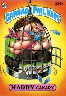 HARRY Canary Funny Sticker Name Decal