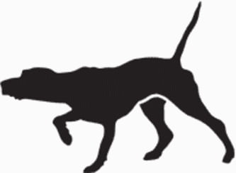 15Q Pointer Dog Decal