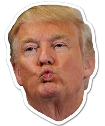 2020 TRUMP KISS STICKER