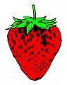 Strawberry Vinyl Sticker Waterproof Decal