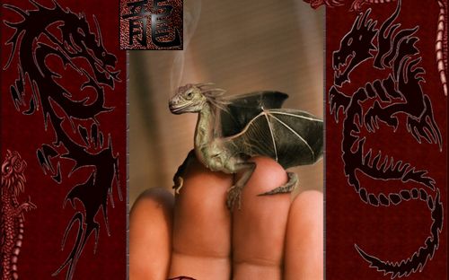 Dragons and Skulls Wall Decals 15