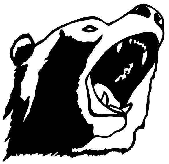 bear head decal 5