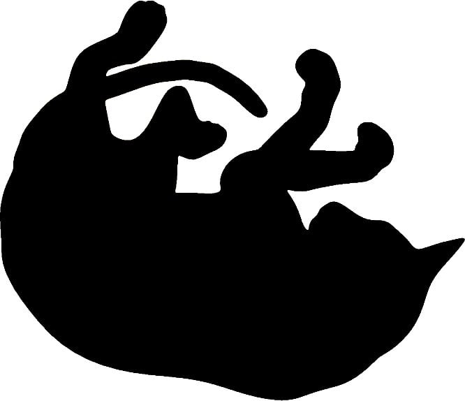 Cat Cats Animal Animals Vinyl Decal Sticker 08