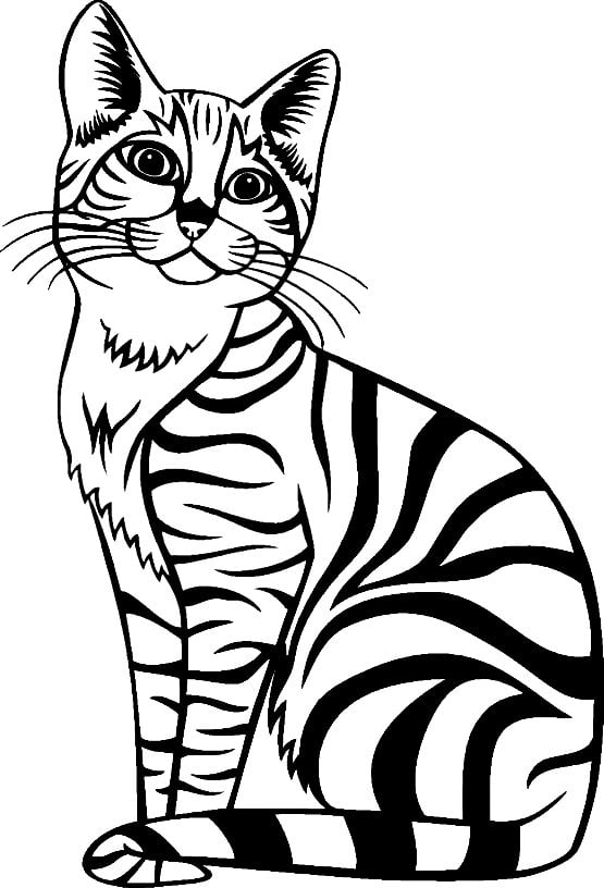 Cat Cats Animal Animals Vinyl Decal Sticker 13
