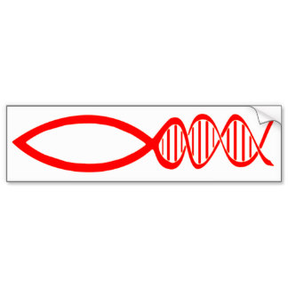 DNA fish bumper sticker