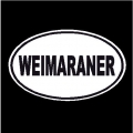 Weimaraner Oval Dog Decal