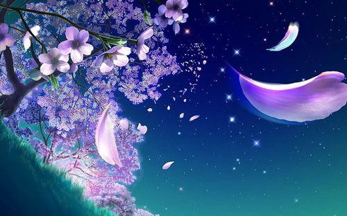 3D Space and Stars Wall graphics 08