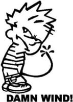 Calvin Peeon Damn Wind Die Cut Decal Sticker