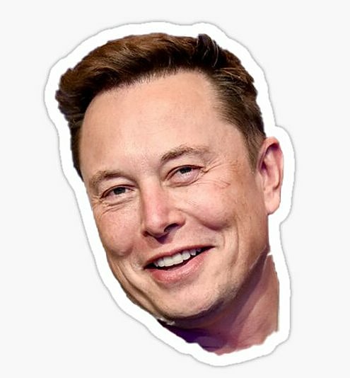ELON MUSK SMILE STICKER