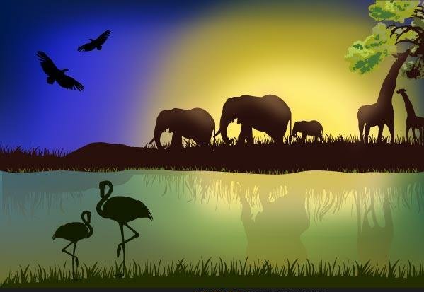 African Animal Stickers COLOR 1