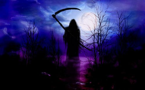 Dragons and Skulls Wall Decals 83