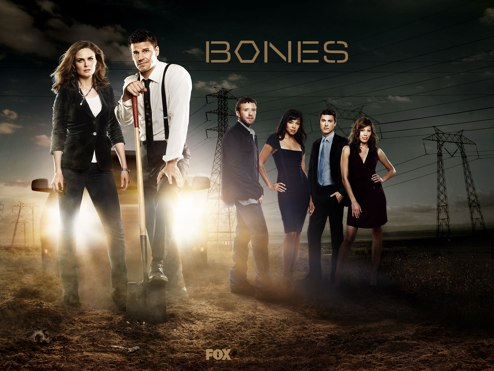 Bones 1