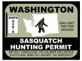 WASHINGTON SASQ BIGFOOT